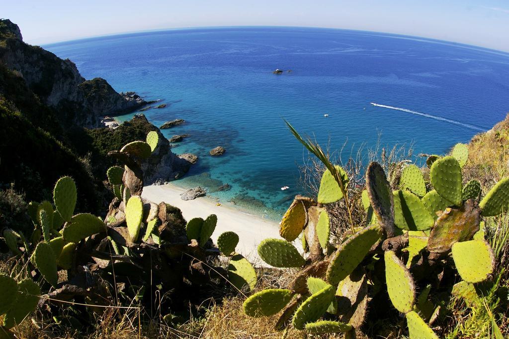 L'ancora Capo Vaticano